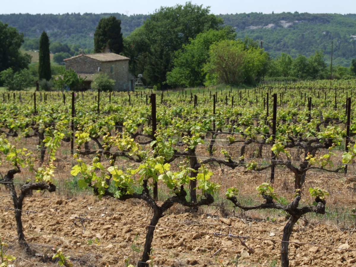 DOMAINE DE L'ANGELE