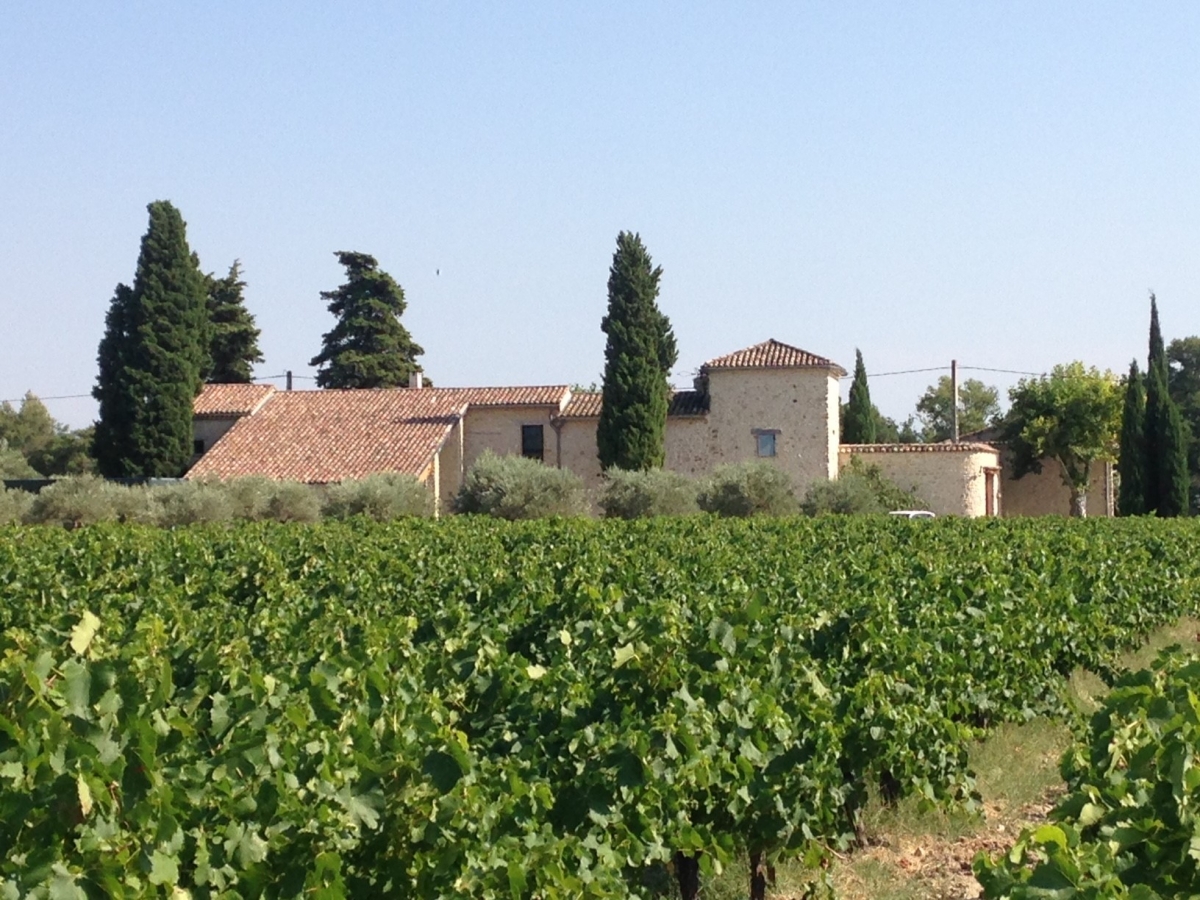 DOMAINE DE MAS CARON