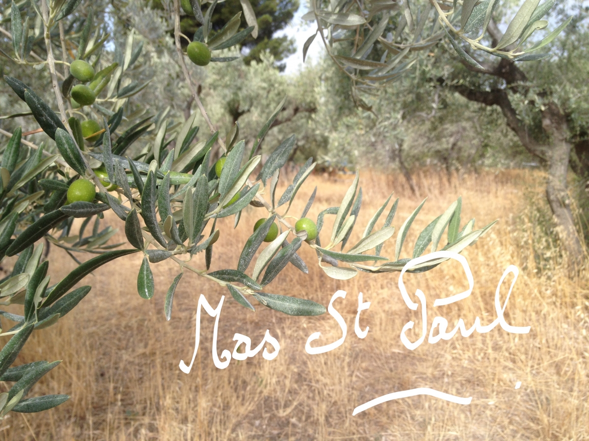 EARL MISSIRY REBUFFAT