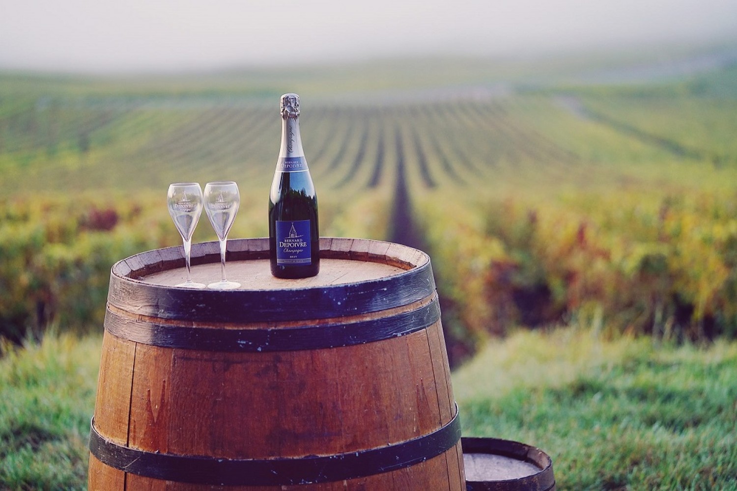 Champagne Bernard DEPOIVRE