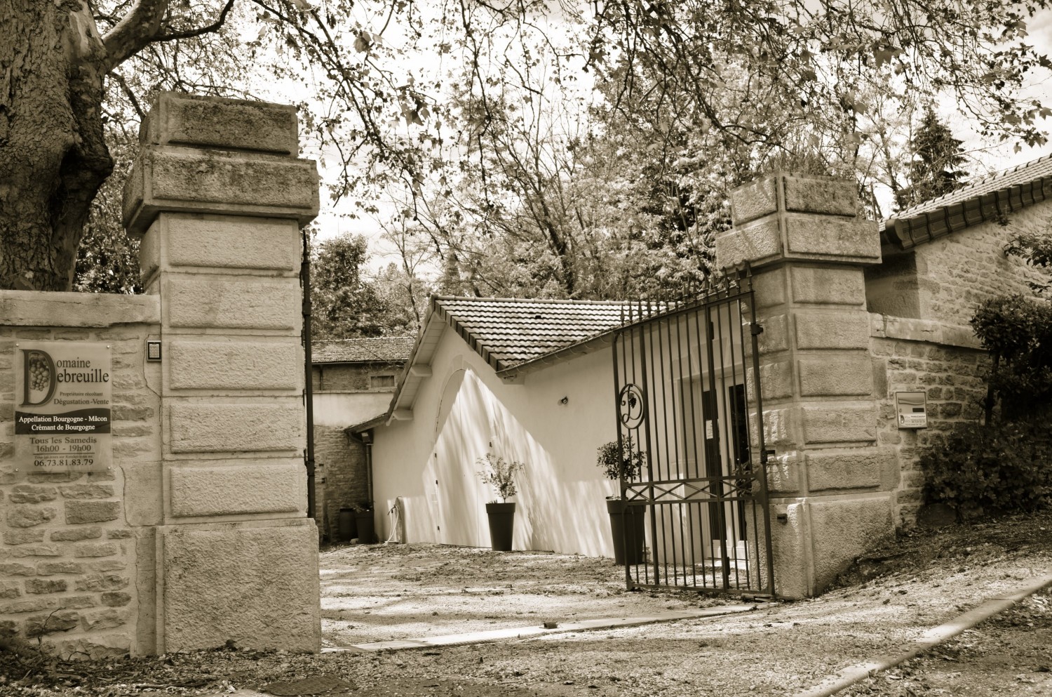 Domaine Debreuille