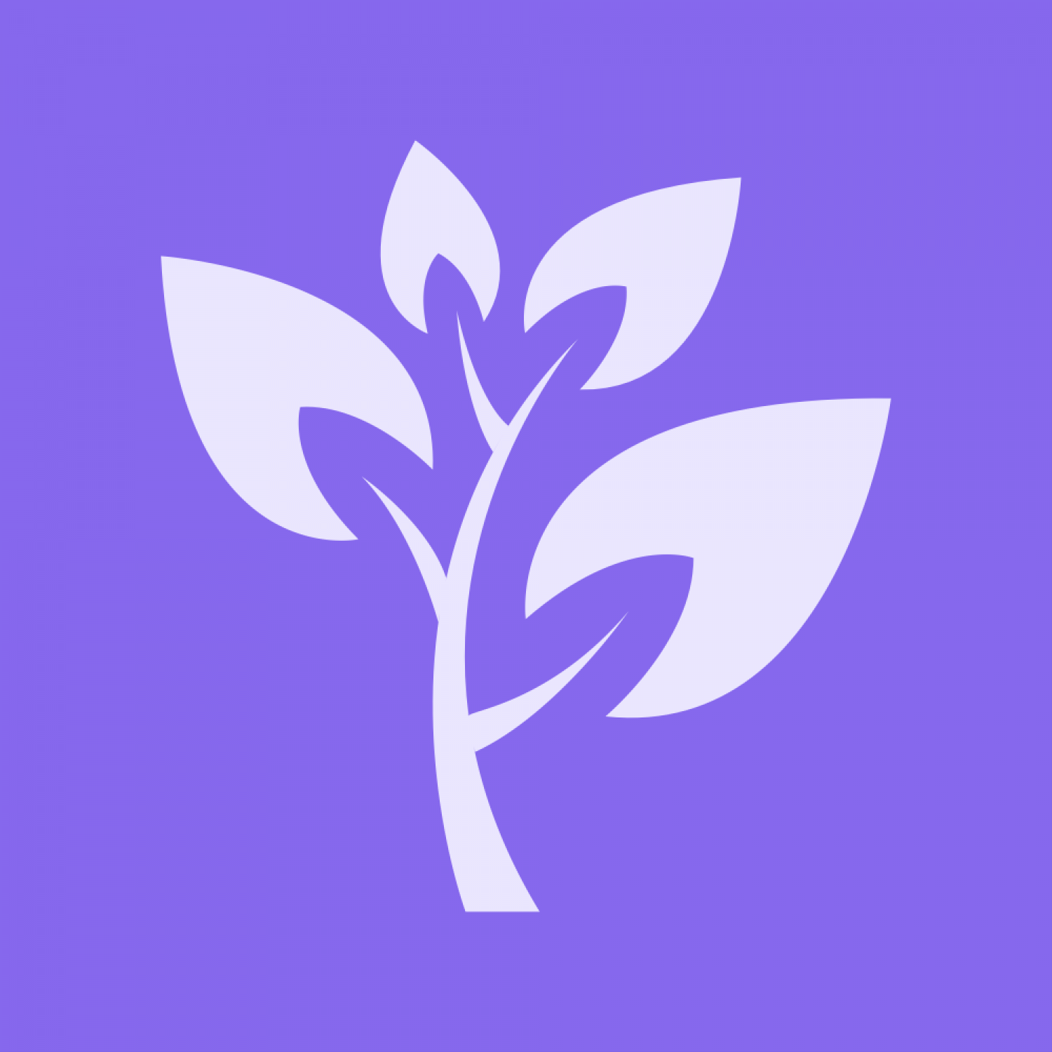 Pujaudran Lavender