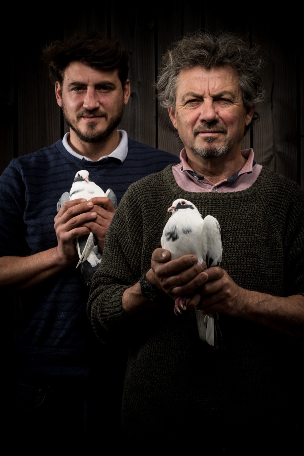 Les Pigeons de Mesquer