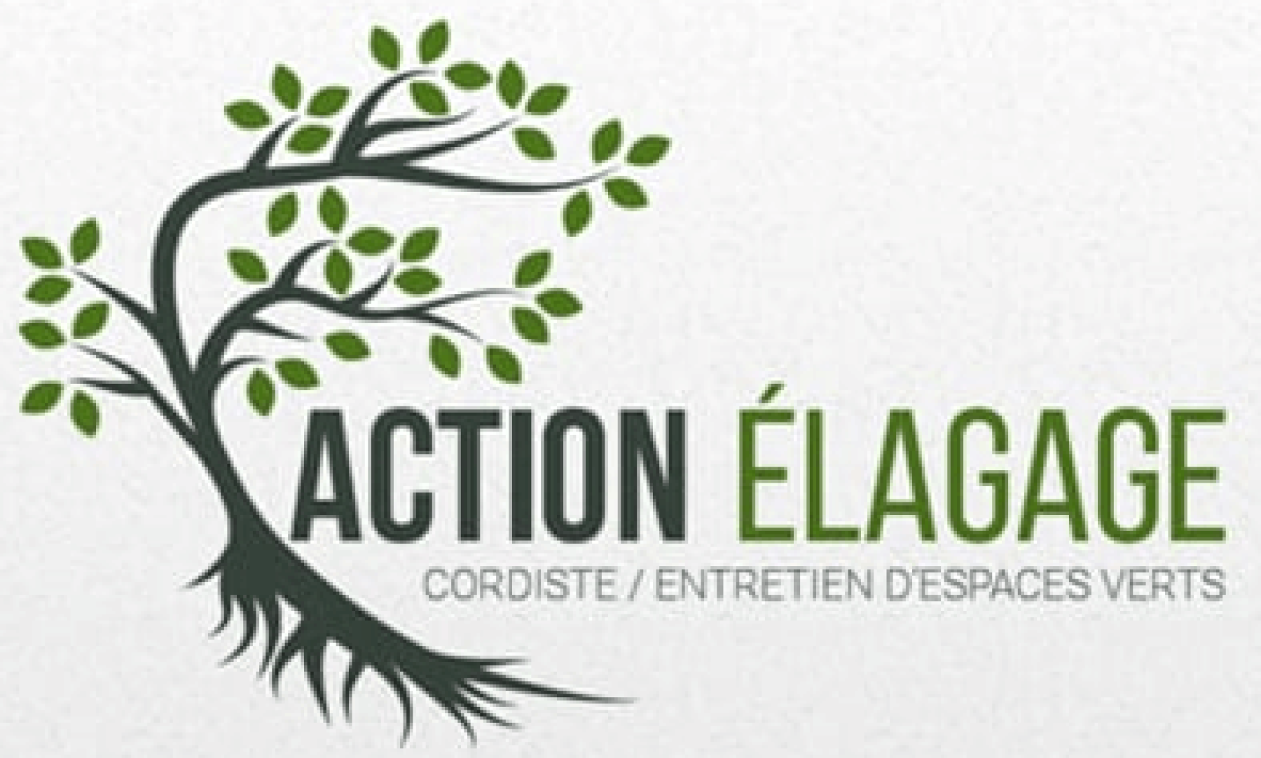 Action élagage