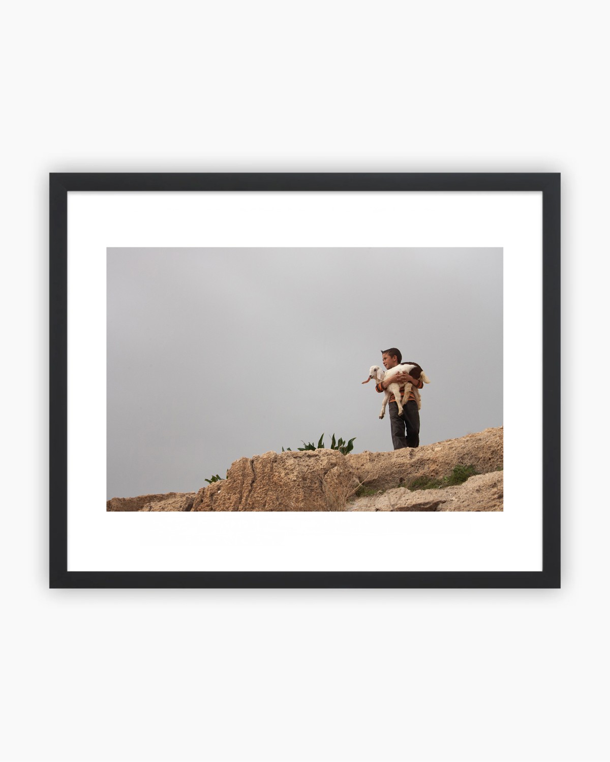BEBE CHEVRE - TIRAGE PHOTO 30 x 40