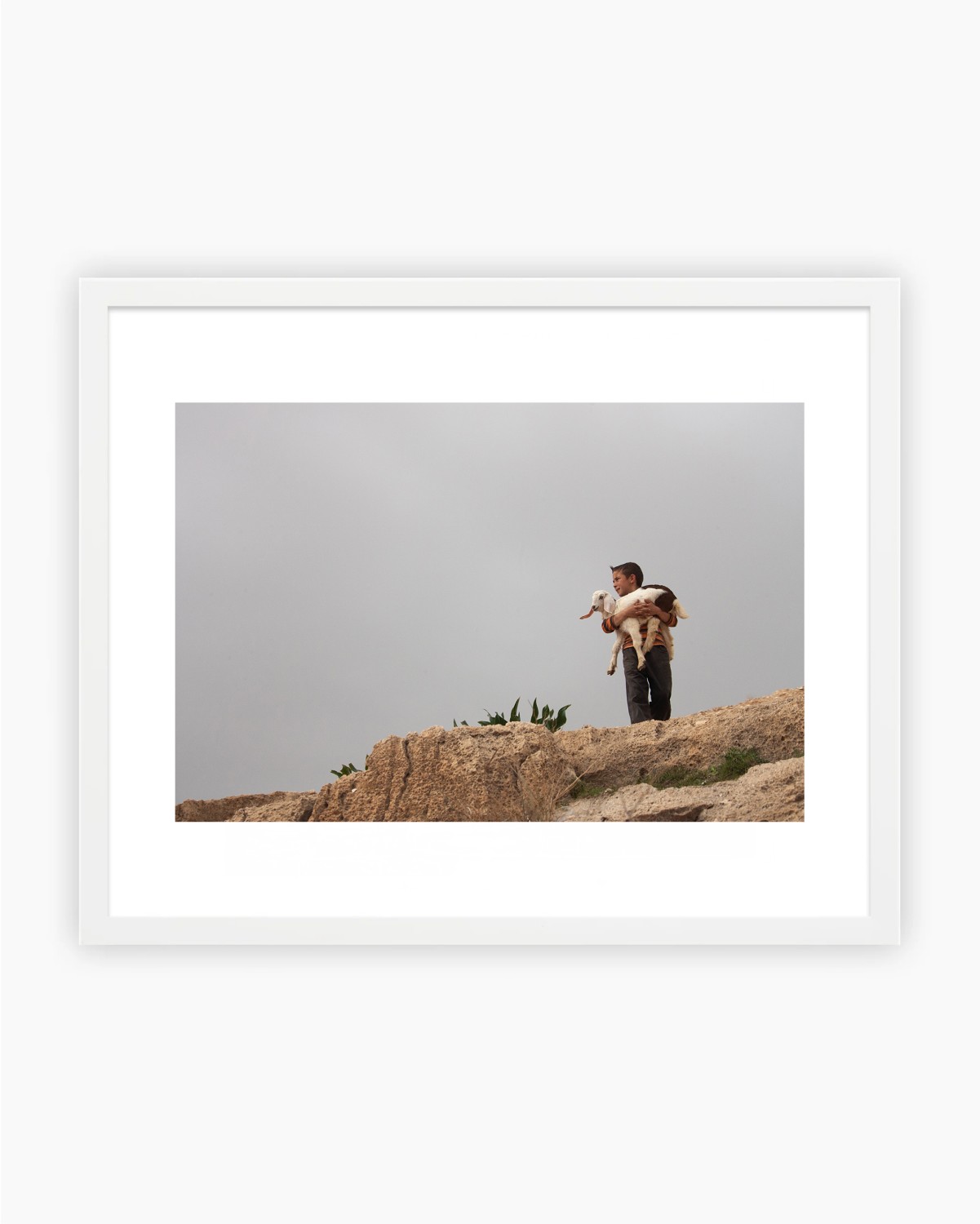 BEBE CHEVRE - TIRAGE PHOTO 30 x 40 — visuel 2