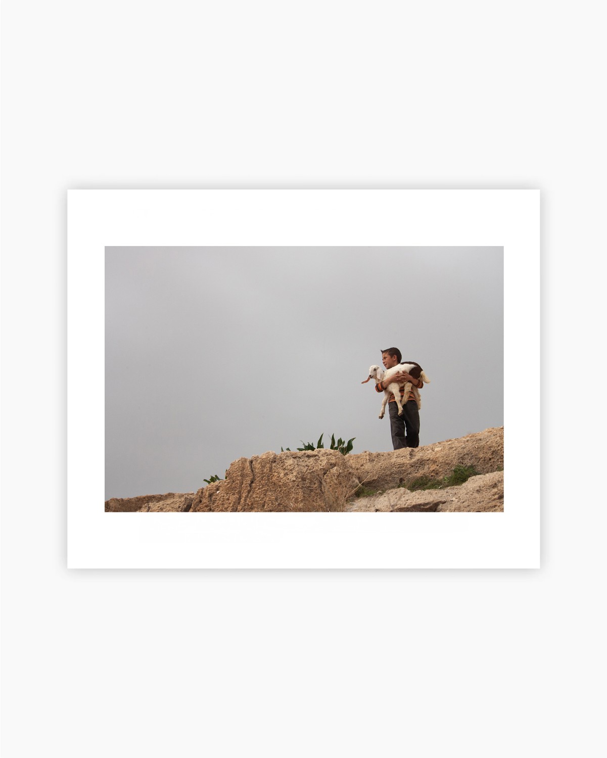 BEBE CHEVRE - TIRAGE PHOTO 30 x 40 — visuel 3