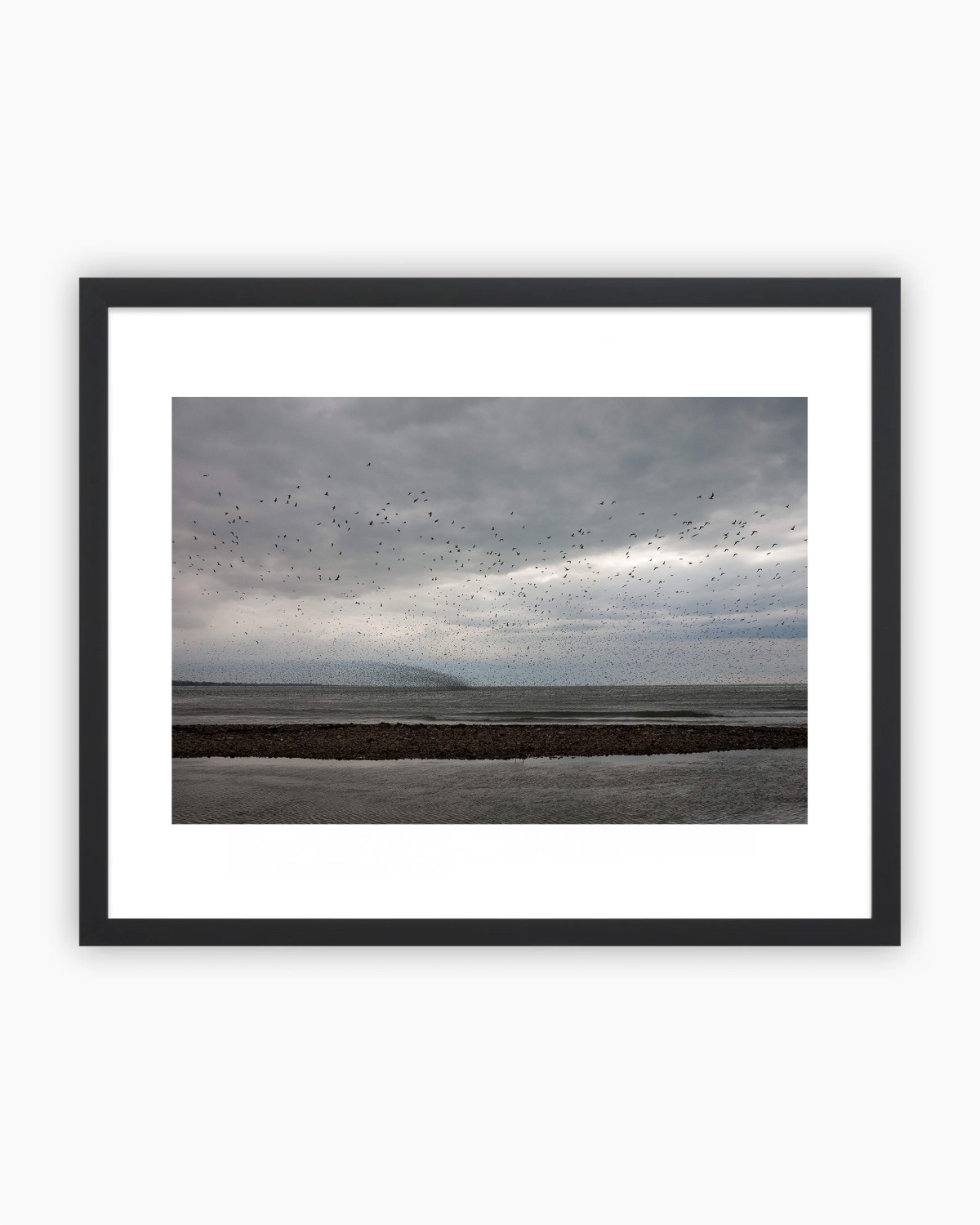 OISEAUX EN VOL - TIRAGE PHOTO 30 x 40