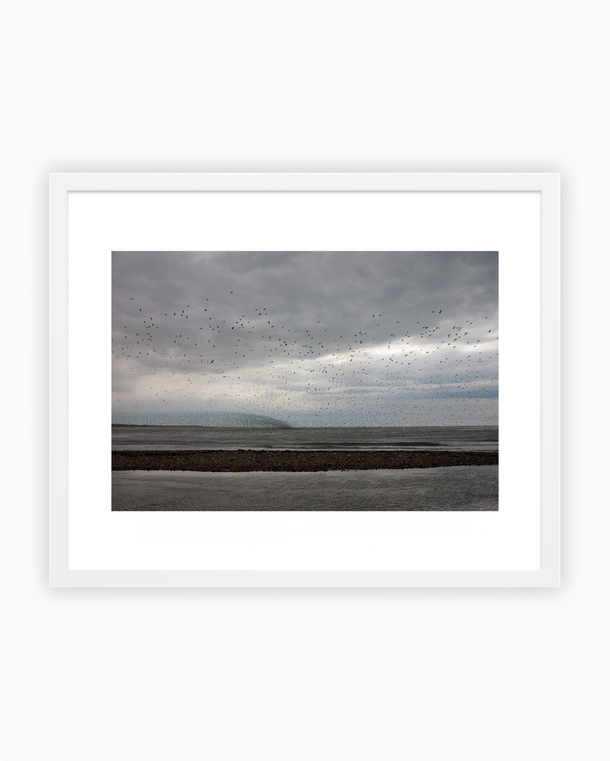 OISEAUX EN VOL - TIRAGE PHOTO 30 x 40 — visuel 2
