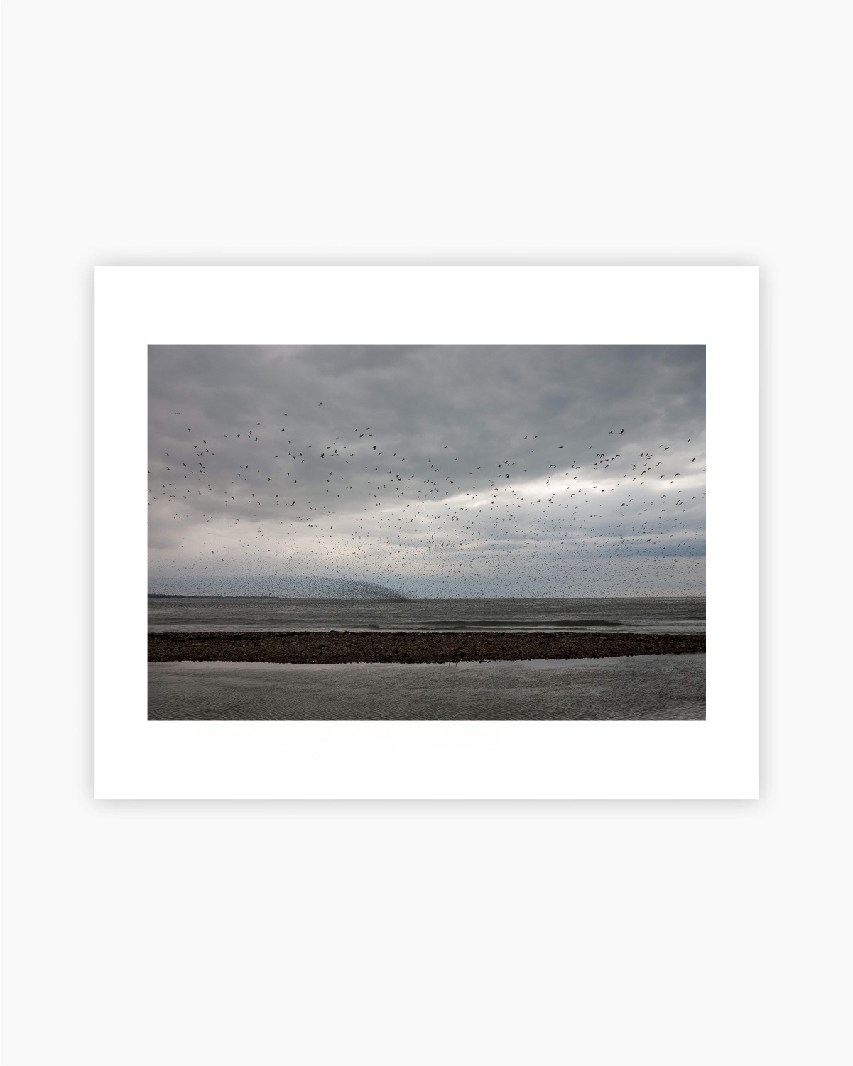 OISEAUX EN VOL - TIRAGE PHOTO 30 x 40 — visuel 3