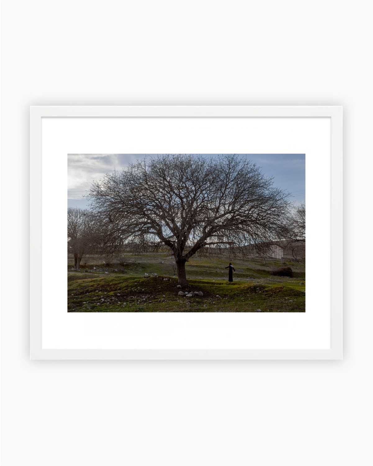 SOUS L'ARBRE - TIRAGE PHOTO 30 x 40