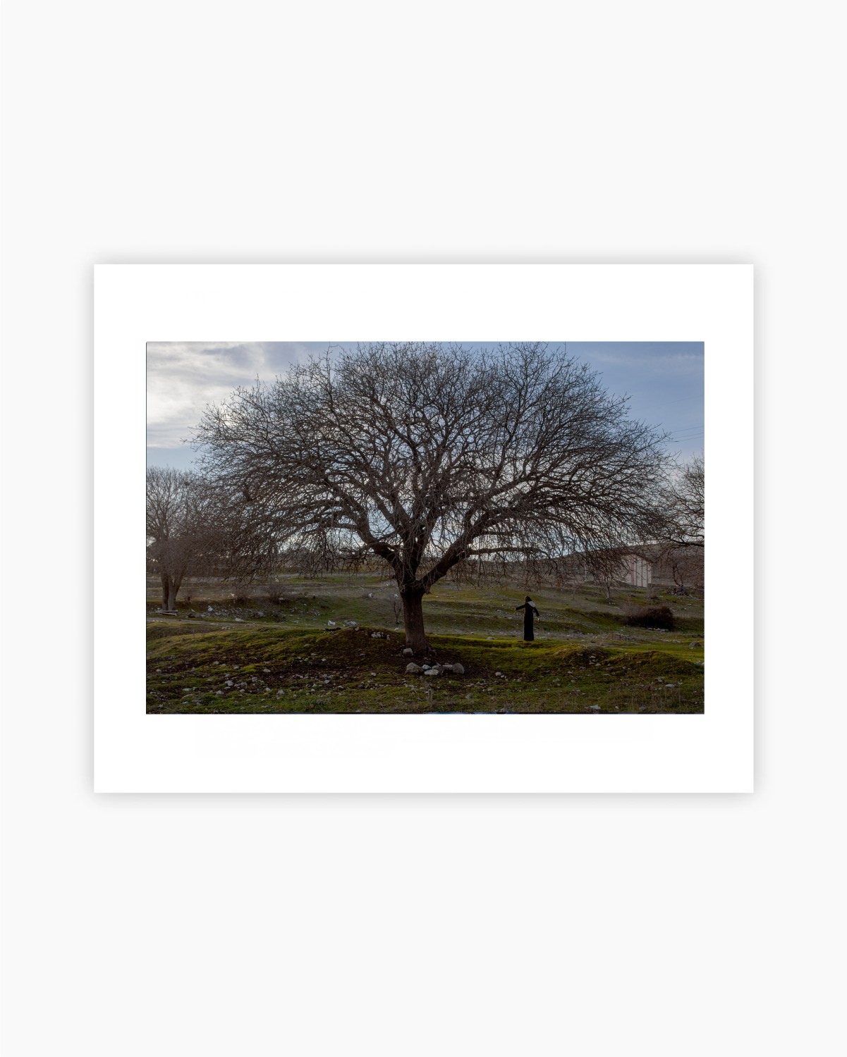 SOUS L'ARBRE - TIRAGE PHOTO 30 x 40 — visuel 3
