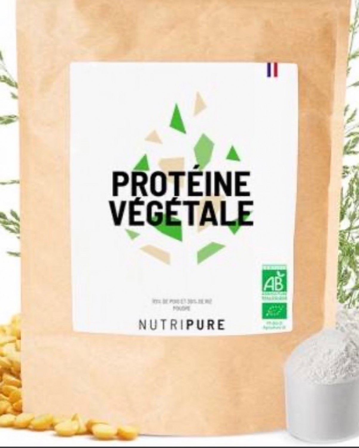 Protéine végétale